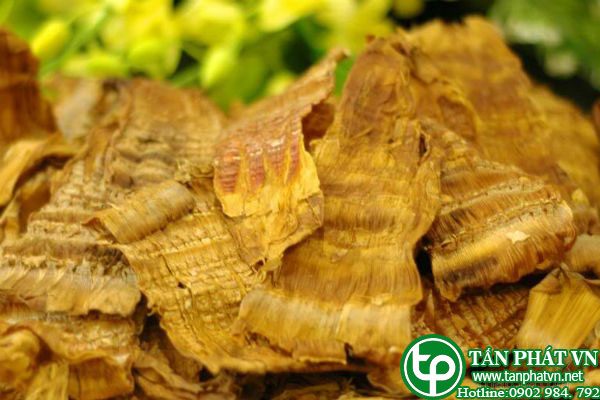 Cách phân biệt măng khô sạch và măng khô ngâm hóa chất