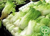 Cải thảo chữa sốt, lợi tiểu