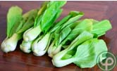 Cải thìa, Cải bẹ trắng, Cải trắng, thnah nhiệt, hoạt huyết
