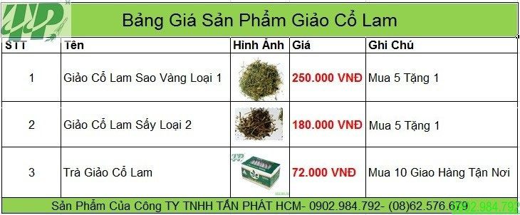 Công dụng chữa bệnh tai biến mạch máu não của giảo cổ làm