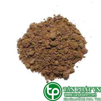 Cửa hàng bán trái nhàu tại tphcm giá tốt
