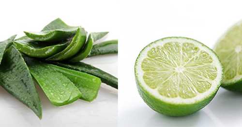 Da đẹp lên mỗi ngày nhờ ăn nha đam với thứ này