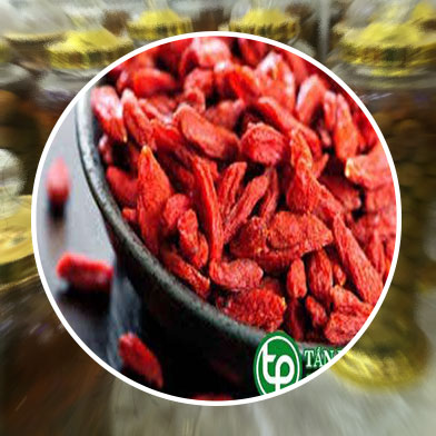 Địa chỉ mua bán câu kỷ tử tại Hưng Yên