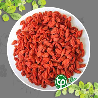 Địa chỉ mua bán câu kỷ tử tại Quận Hoàng Mai