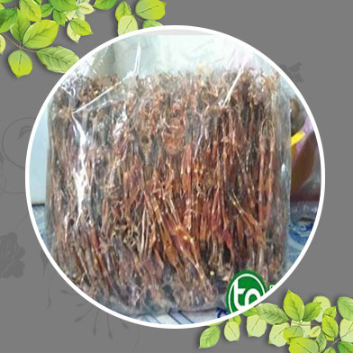 Địa chỉ mua bán khô nhái tại Huyện Chương Mỹ