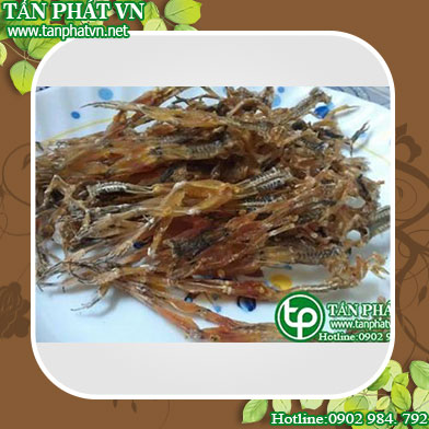 Địa chỉ mua bán khô nhái tại Quận Cầu Giấy