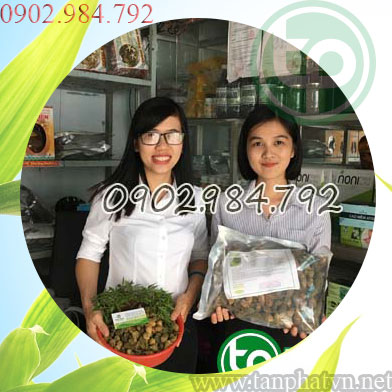 Địa chỉ mua bán khổ qua rừng tại Bến Tre