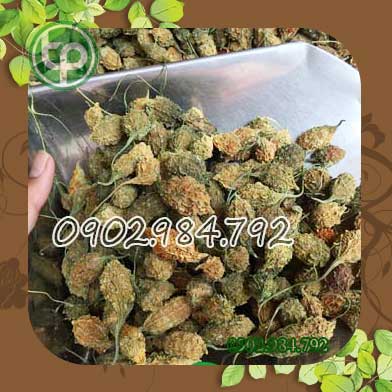 Địa chỉ mua bán khổ qua rừng tại Bình phước
