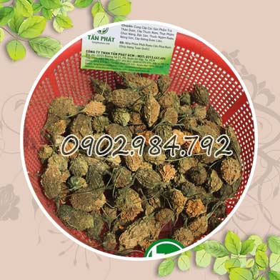 Địa chỉ mua bán khổ qua rừng tại Đồng Nai