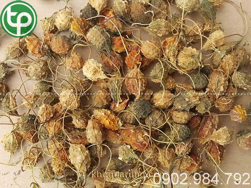 Địa chỉ mua bán khổ qua rừng tại Gia Lai