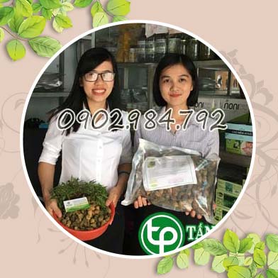 Địa chỉ mua bán khổ qua rừng tại Hà Nam giao hàng nhanh