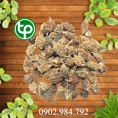 Địa chỉ mua bán khổ qua rừng tại Huyện Mỹ Đức