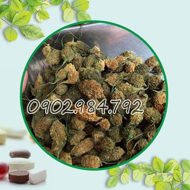Địa chỉ mua bán khổ qua rừng tại Huyện Mỹ Đức