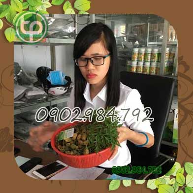 Địa chỉ mua bán khổ qua rừng tại Thái Bình