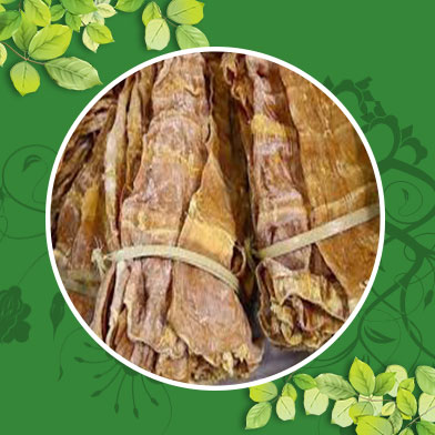 Địa chỉ mua bán măng khô tại Phú yên