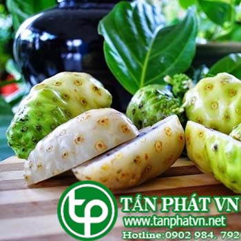 Địa chỉ mua bán trái nhàu tại tphcm uy tín