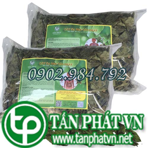 Giá bán cây xạ đen bao nhiêu tiền 1kg?