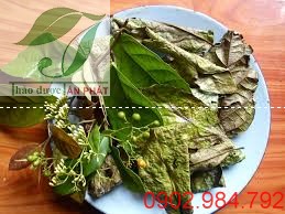 Làm sao để uống xạ đen hiệu quả