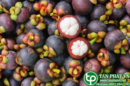Măng cụt chữa ỉa chảy, giải khát