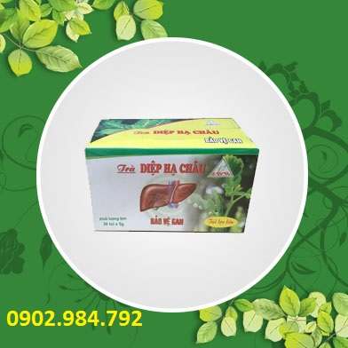 Ở đâu bán diệp hạ châu tại Bắc Ninh giao hàng nhanh