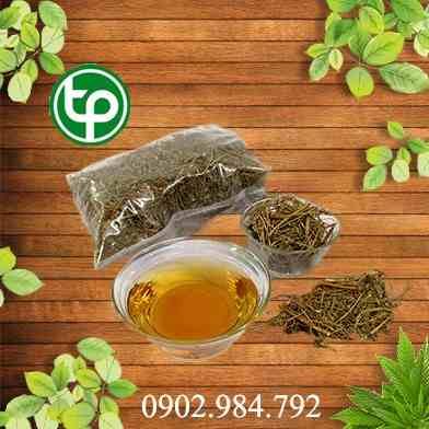 Ở đâu bán diệp hạ châu tại Thái Nguyên tăng cường