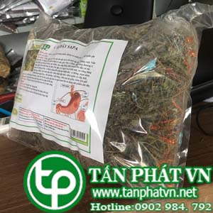 Ở đâu mua bán chè dây tại Đắk Lắk uy tín