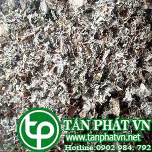 Ở đâu mua bán chè dây tại Phú Yên giá tốt