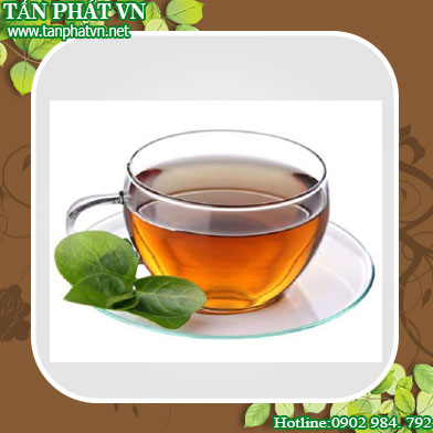 Ở đâu mua bán dây thìa canh tại Đà Lạt tăng cường sức khỏe