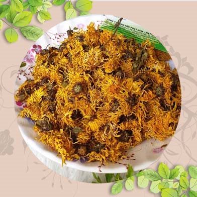 Ở đâu mua bán Hoa Cúc Tây Tạng