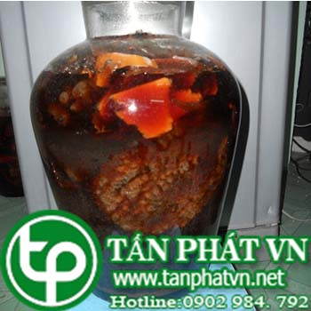 Ở đâu mua bán trái nhàu tại Bình Thuận giá tốt