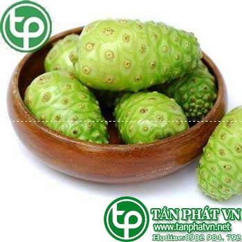 Ở đâu mua bán trái nhàu tại Đắk Lắk uy tín
