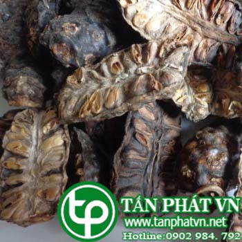 Ở đâu mua bán trái nhàu tại Quảng Ngãi giao hàng nhanh