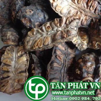 ở đâu mua bán trái nhàu tại tphcm chất lượng