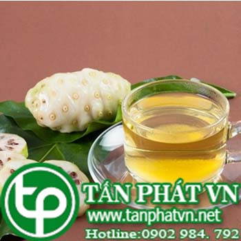 Ở đâu mua bán trái nhàu tại Vinh uy tín