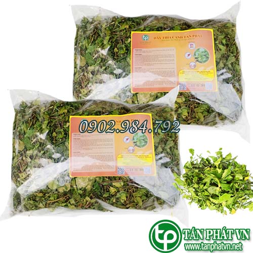 Phân phối sỉ lẻ dây thìa canh giá 120k giao hàng nhanh?